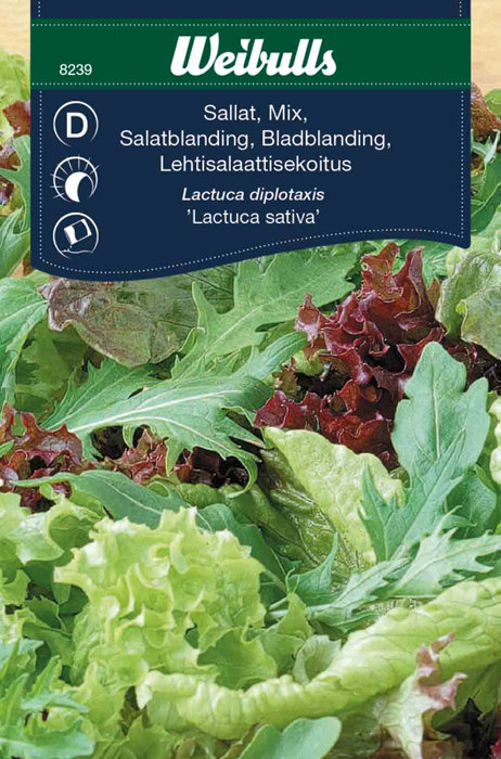 Salatblanding 'Baby Leaf'